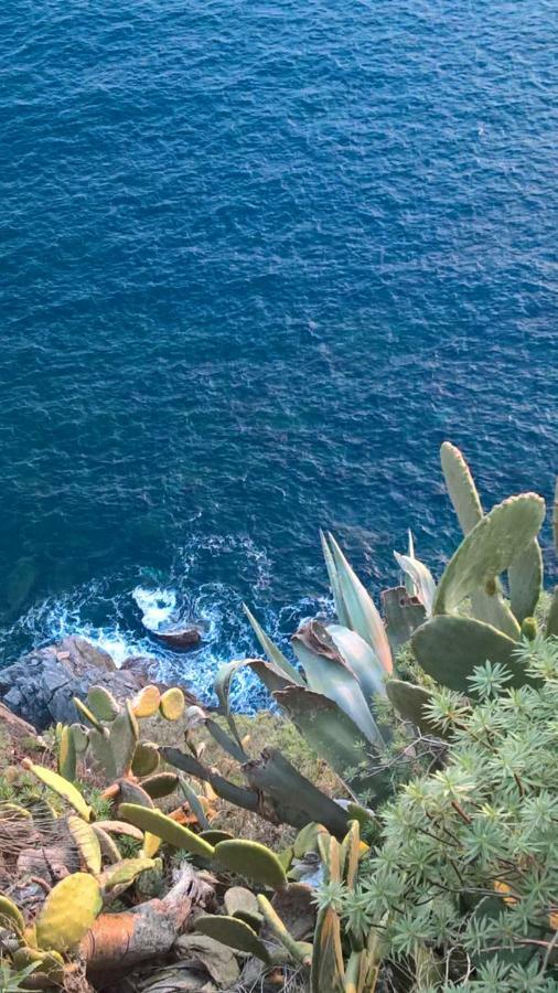 The Pearl Of 5 Terre - Monterosso Apartamento Monterosso al Mare Exterior foto